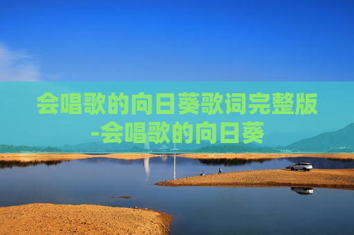 会唱歌的向日葵歌词完整版-会唱歌的向日葵