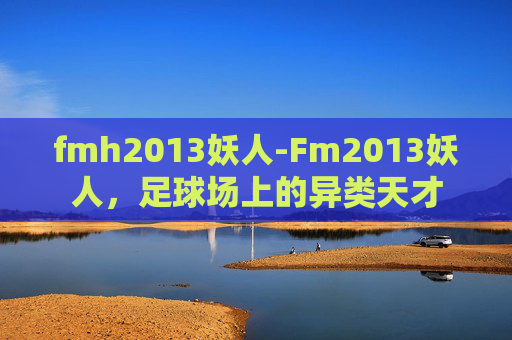 fmh2013妖人-Fm2013妖人，足球场上的异类天才
