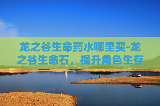 龙之谷生命药水哪里买-龙之谷生命石，提升角色生存能力的关键道具