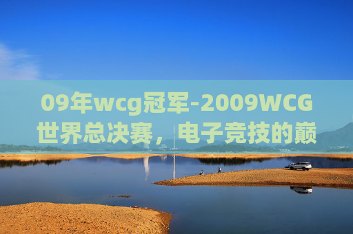 09年wcg冠军-2009WCG世界总决赛，电子竞技的巅峰之战