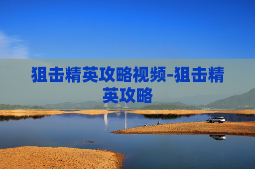 狙击精英攻略视频-狙击精英攻略