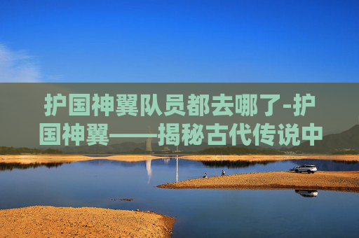 护国神翼队员都去哪了-护国神翼——揭秘古代传说中的神秘力量