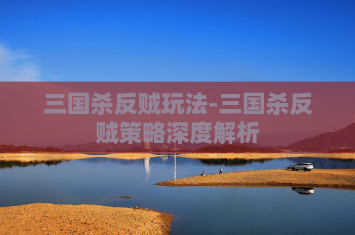 三国杀反贼玩法-三国杀反贼策略深度解析