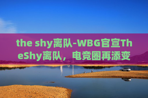 the shy离队-WBG官宣TheShy离队，电竞圈再添变数