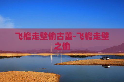 飞檐走壁偷古董-飞檐走壁之偷