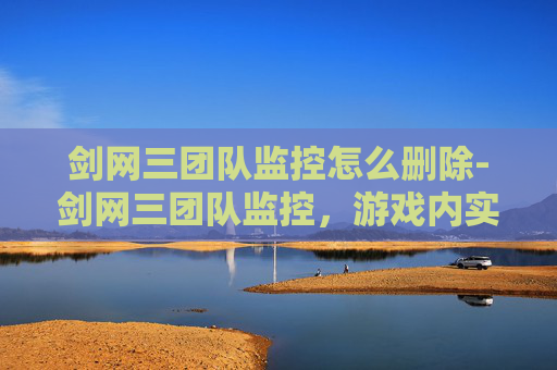 剑网三团队监控怎么删除-剑网三团队监控，游戏内实时数据与策略优化