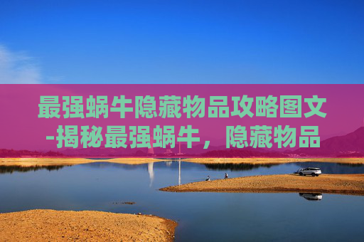 最强蜗牛隐藏物品攻略图文-揭秘最强蜗牛，隐藏物品的终极攻略