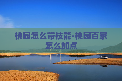 桃园怎么带技能-桃园百家怎么加点