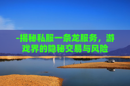 -揭秘私服一条龙服务，游戏界的隐秘交易与风险