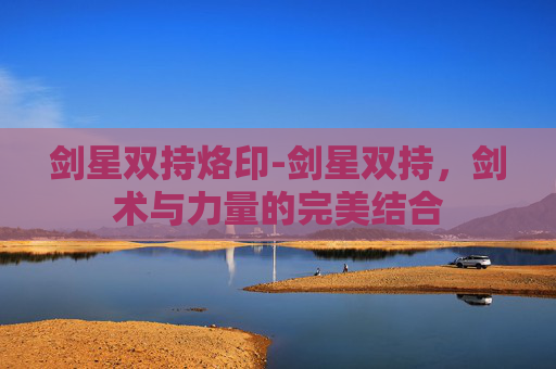 剑星双持烙印-剑星双持，剑术与力量的完美结合