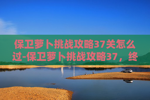 保卫萝卜挑战攻略37关怎么过-保卫萝卜挑战攻略37，终极技巧与策略