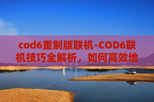 cod6重制版联机-COD6联机技巧全解析，如何高效地与队友协作，成为团队中的佼佼者