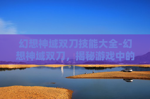 幻想神域双刀技能大全-幻想神域双刀，揭秘游戏中的终极武器