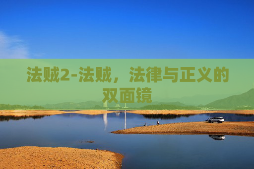 法贼2-法贼，法律与正义的双面镜