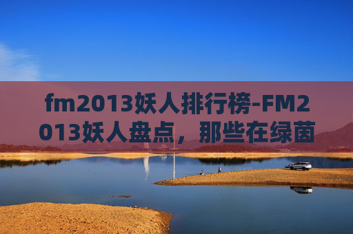 fm2013妖人排行榜-FM2013妖人盘点，那些在绿茵场上闪耀的异类