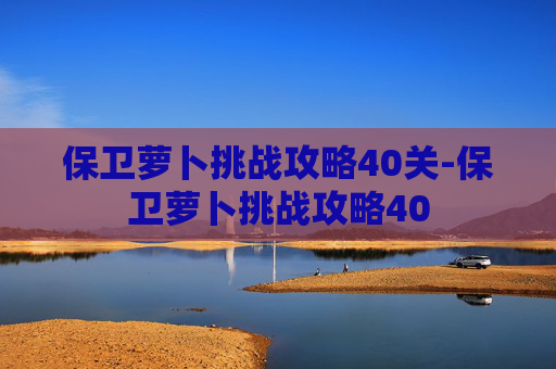 保卫萝卜挑战攻略40关-保卫萝卜挑战攻略40