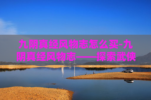 九阴真经风物志怎么买-九阴真经风物志——探索武侠世界的神秘宝藏