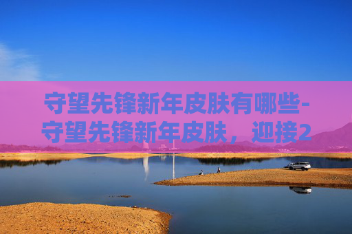 守望先锋新年皮肤有哪些-守望先锋新年皮肤，迎接2024年的全新风采