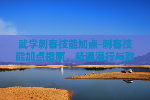 武学刺客技能加点-刺客技能加点指南，精通潜行与致命一击