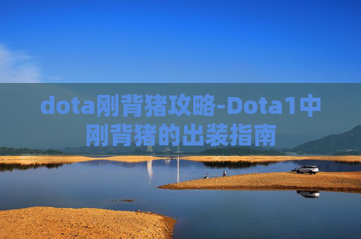 dota刚背猪攻略-Dota1中刚背猪的出装指南