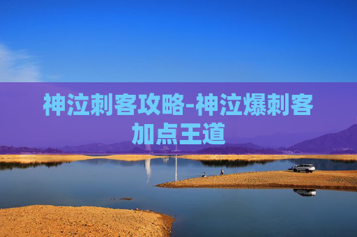神泣刺客攻略-神泣爆刺客加点王道 神泣刺客攻略-神泣爆刺客加点王道