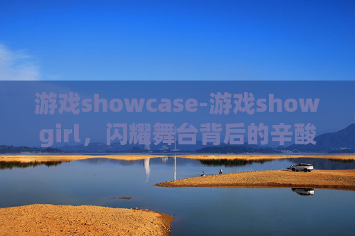 游戏showcase-游戏showgirl，闪耀舞台背后的辛酸与荣耀