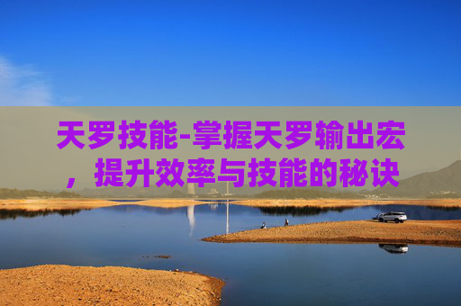 天罗技能-掌握天罗输出宏，提升效率与技能的秘诀