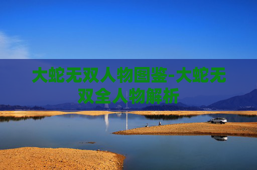 大蛇无双人物图鉴-大蛇无双全人物解析