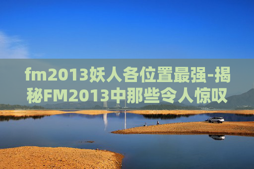fm2013妖人各位置最强-揭秘FM2013中那些令人惊叹的妖人