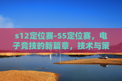 s12定位赛-S5定位赛,电子竞技的新篇章,技术与策略的较量 s12定位赛-S5定位赛,电子竞技的新篇章,技术与策略的较量