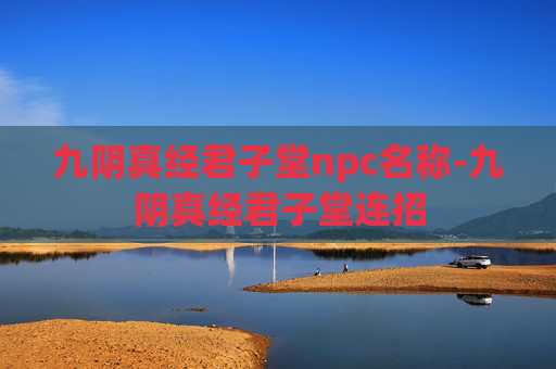 九阴真经君子堂npc名称-九阴真经君子堂连招