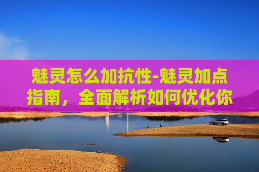 魅灵怎么加抗性-魅灵加点指南，全面解析如何优化你的精灵战斗