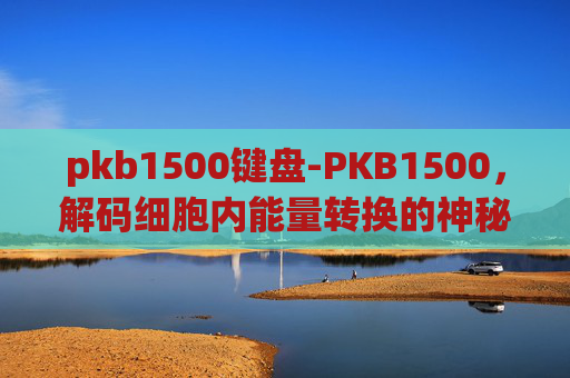 pkb1500键盘-PKB1500，解码细胞内能量转换的神秘力量