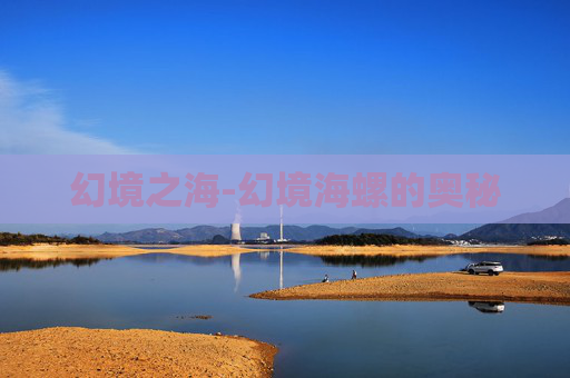 幻境之海-幻境海螺的奥秘