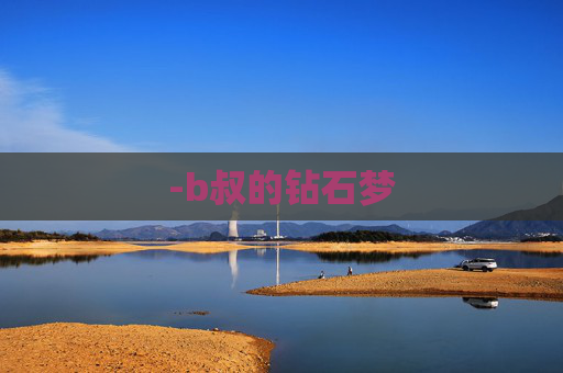 -b叔的钻石梦