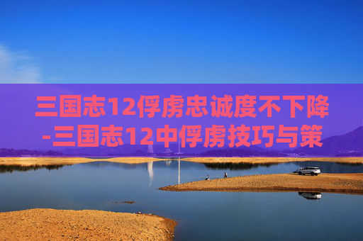 三国志12俘虏忠诚度不下降-三国志12中俘虏技巧与策略