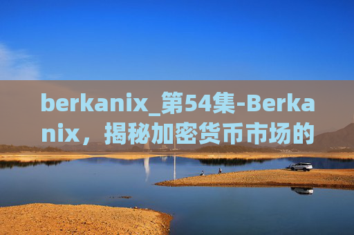 berkanix_第54集-Berkanix，揭秘加密货币市场的新星