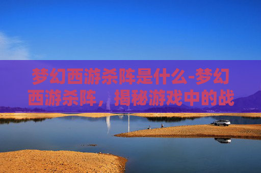 梦幻西游杀阵是什么-梦幻西游杀阵，揭秘游戏中的战术与策略