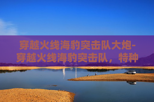 穿越火线海豹突击队大炮-穿越火线海豹突击队，特种部队的荣耀与挑战