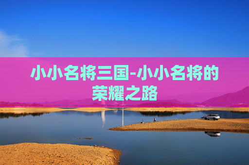 小小名将三国-小小名将的荣耀之路
