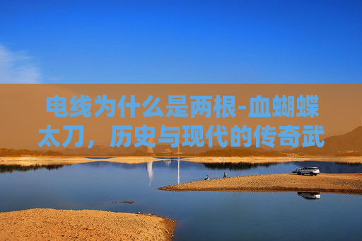 电线为什么是两根-血蝴蝶太刀，历史与现代的传奇武器