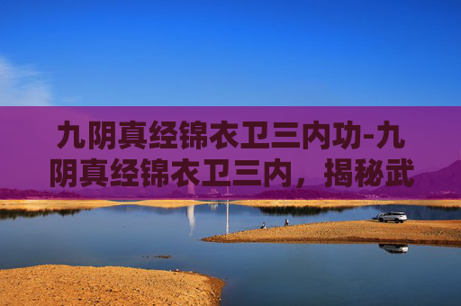 九阴真经锦衣卫三内功-九阴真经锦衣卫三内，揭秘武侠世界中的隐秘力量