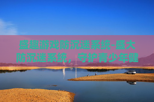 盛趣游戏防沉迷系统-盛大防沉迷系统，守护青少年健康成长的盾牌