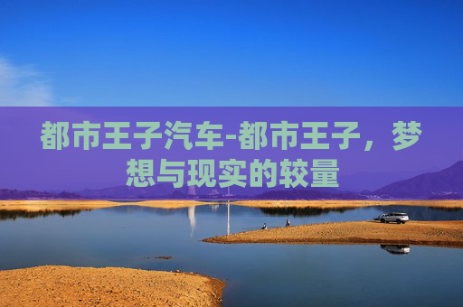 都市王子汽车-都市王子，梦想与现实的较量