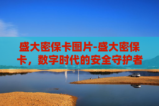 盛大密保卡图片-盛大密保卡，数字时代的安全守护者