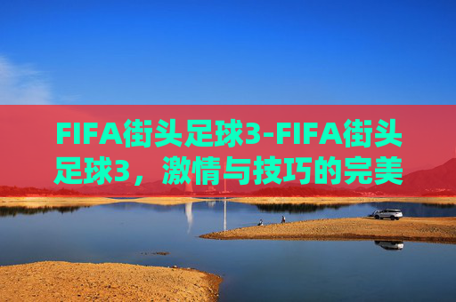 FIFA街头足球3-FIFA街头足球3,激情与技巧的完美融合 FIFA街头足球3-FIFA街头足球3,激情与技巧的完美融合