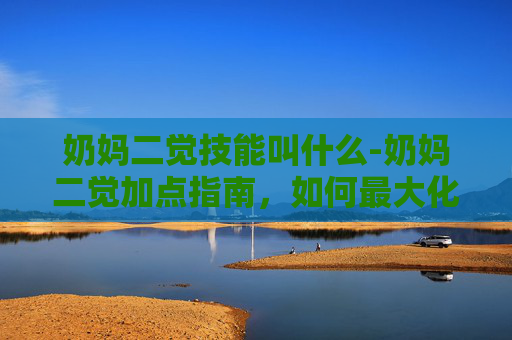 奶妈二觉技能叫什么-奶妈二觉加点指南，如何最大化你的辅助能力