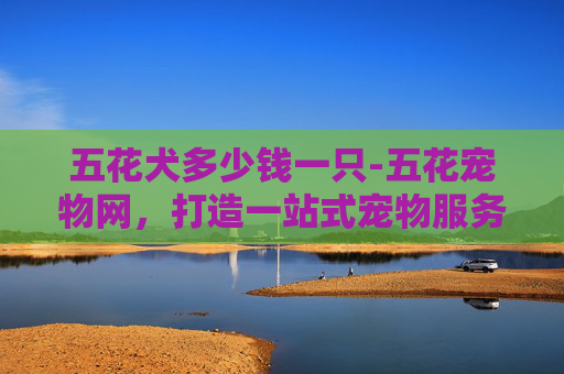 五花犬多少钱一只-五花宠物网,打造一站式宠物服务平台 五花犬多少钱一只-五花宠物网,打造一站式宠物服务平台