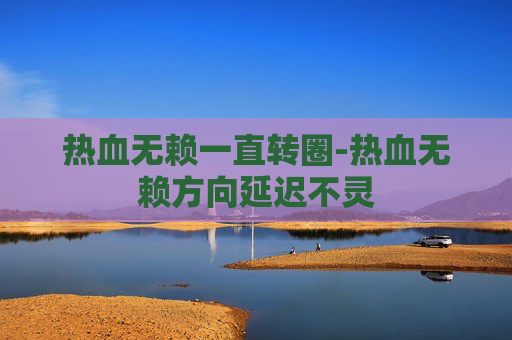 热血无赖一直转圈-热血无赖方向延迟不灵