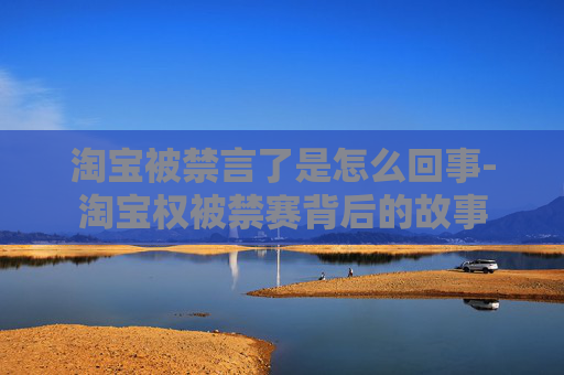 淘宝被禁言了是怎么回事-淘宝权被禁赛背后的故事